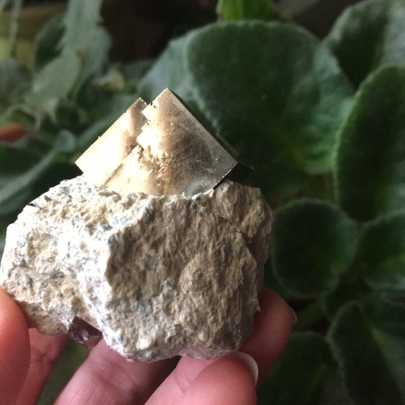 Pyrite cube on matrix - Picture 4 of 7